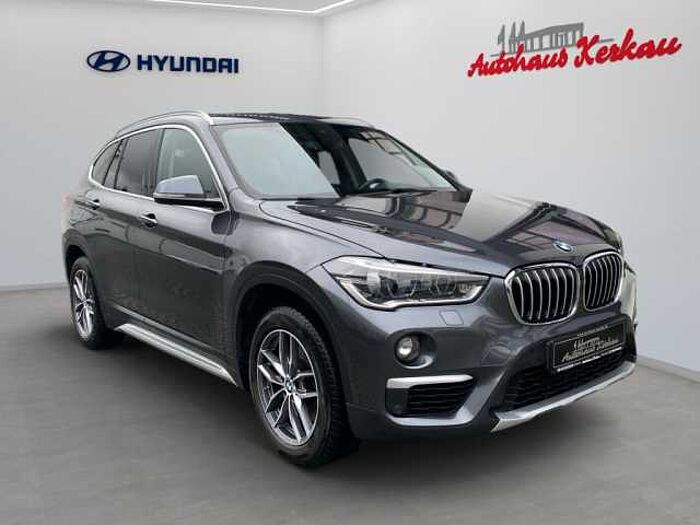 BMW X1 xDrive20d Aut. xLinee+8fach bereift
